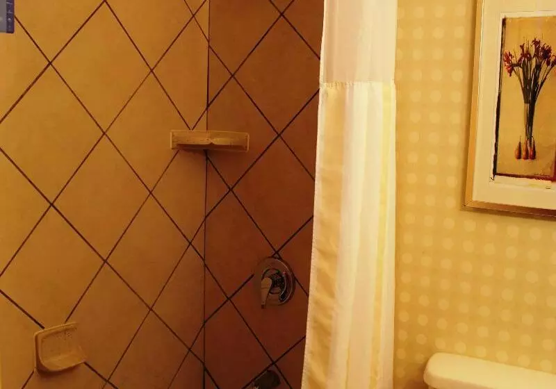 キングサイズベッドのスタンダードルーム, Hilton Garden Inn Starkville