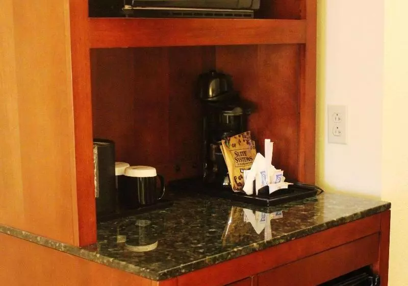 キングサイズベッドのスタンダードルーム, Hilton Garden Inn Starkville