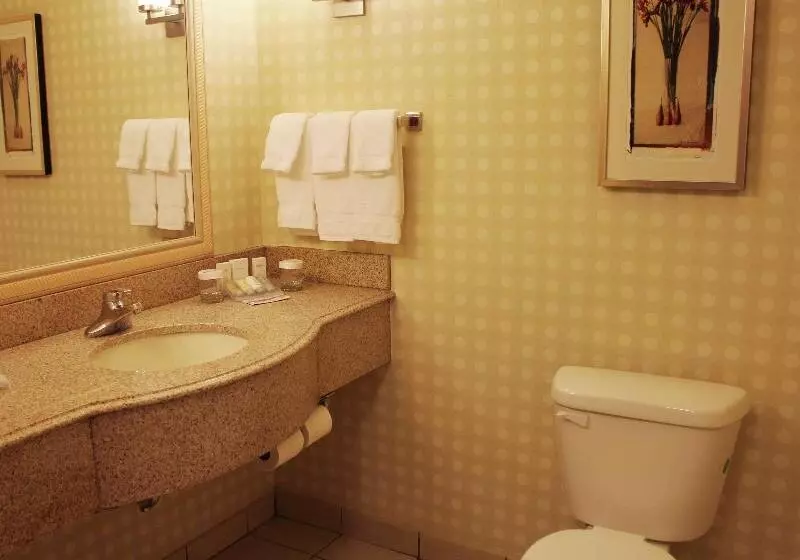 キングサイズベッドのスタンダードルーム, Hilton Garden Inn Starkville