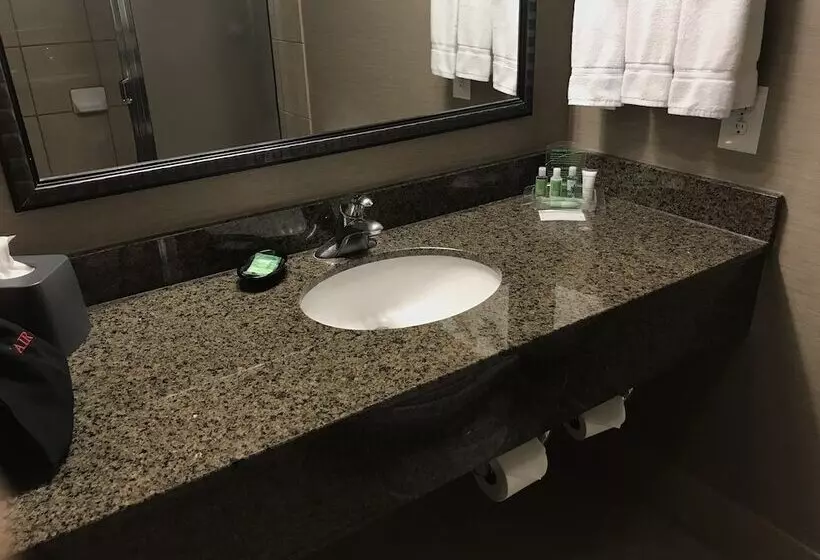 スタンダードルーム, Holiday Inn & Suites Albuquerque North I 25, An Ihg