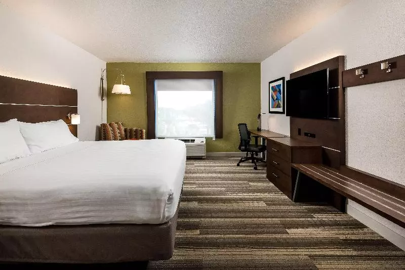 身障者適用キングサイズベッドルーム, Holiday Inn Express Hotel & Suites Bartow, An Ihg