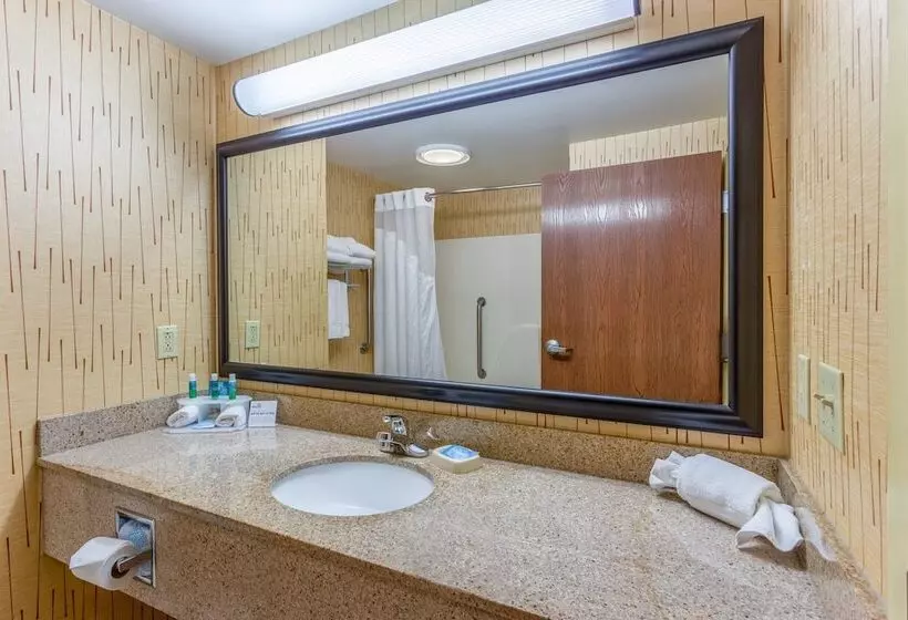 スタンダードルーム, Holiday Inn Express Hotel & Suites Bowling Green, An Ihg