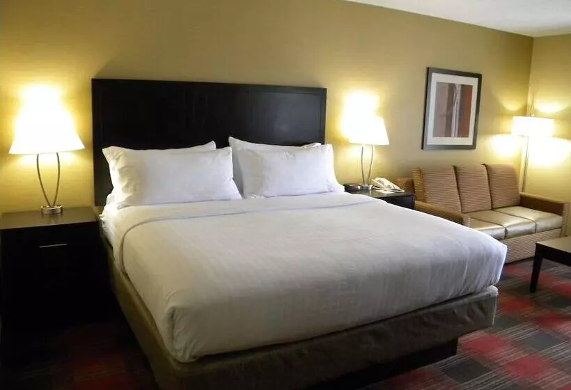 スタンダードルーム, Holiday Inn Express Hotel & Suites Bowling Green, An Ihg