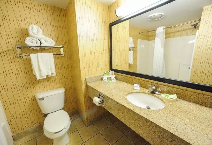 スイート, Holiday Inn Express Hotel & Suites Bowling Green, An Ihg