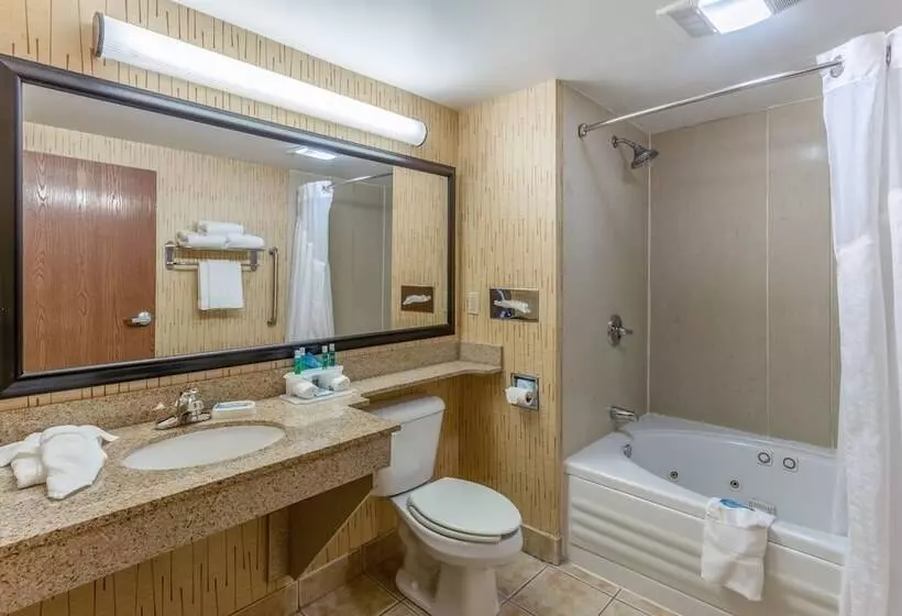 スイート, Holiday Inn Express Hotel & Suites Bowling Green, An Ihg