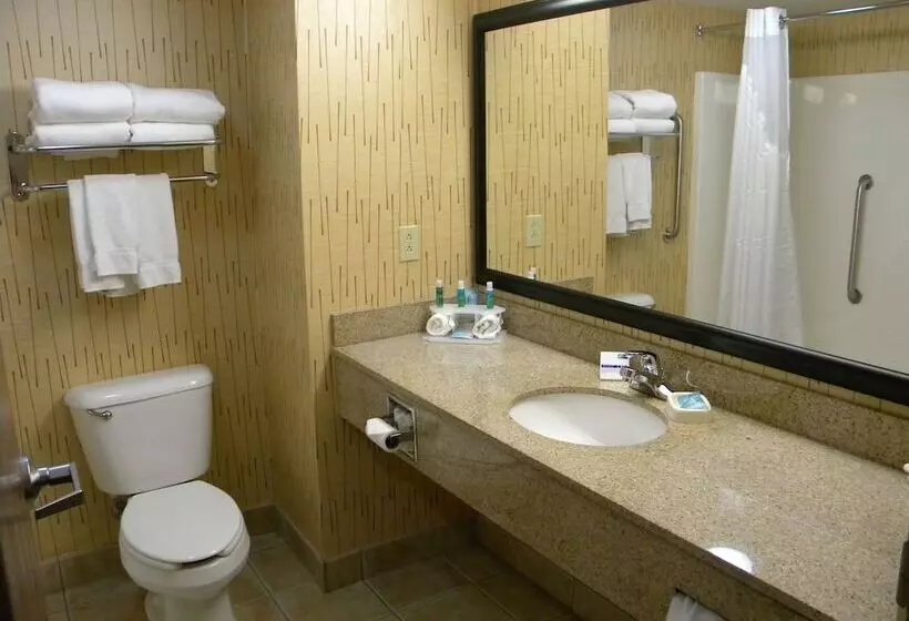 スイート, Holiday Inn Express Hotel & Suites Bowling Green, An Ihg