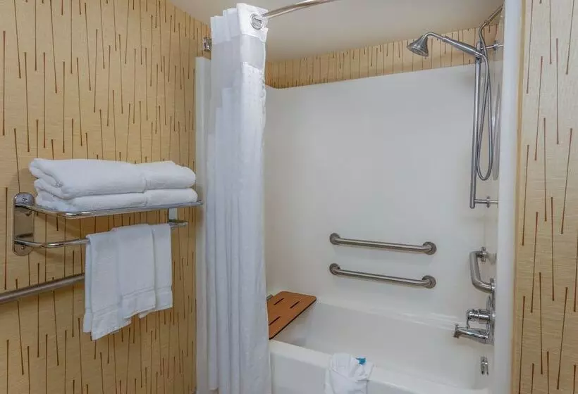 身障者適用スイートルーム, Holiday Inn Express Hotel & Suites Bowling Green, An Ihg