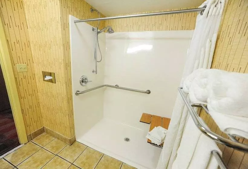 身障者適用スイートルーム, Holiday Inn Express Hotel & Suites Bowling Green, An Ihg