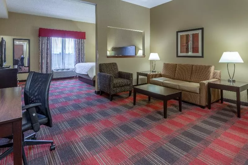 キングサイズベッドのエクゼクティブルーム, Holiday Inn Express Hotel & Suites Bowling Green, An Ihg