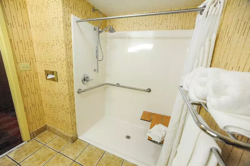 身障者適用キングサイズベッドルーム, Holiday Inn Express Hotel & Suites Bowling Green, An Ihg
