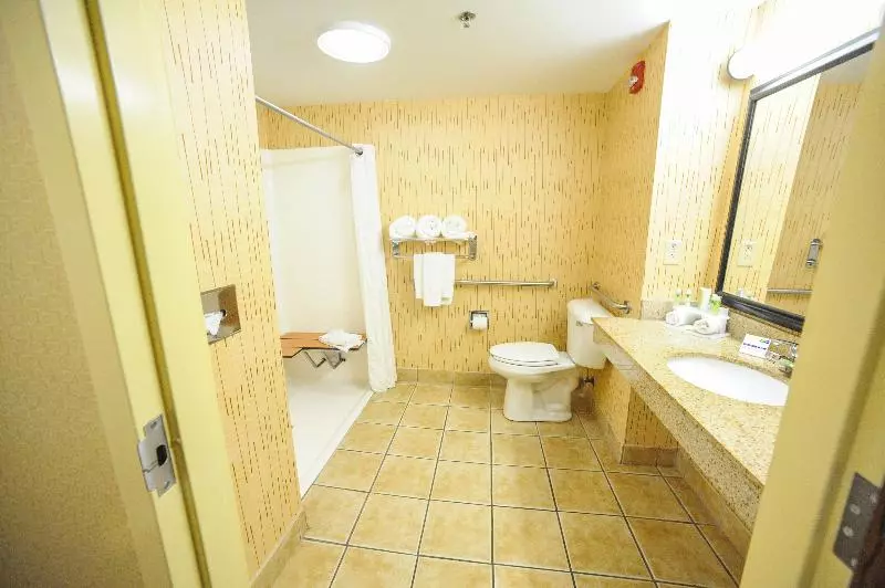 身障者適用キングサイズベッドルーム, Holiday Inn Express Hotel & Suites Bowling Green, An Ihg