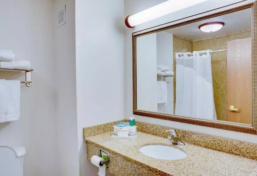 キングサイズベッドのスタンダードルーム, Holiday Inn Express Hotel & Suites Oklahoma City Bethany, An Ihg