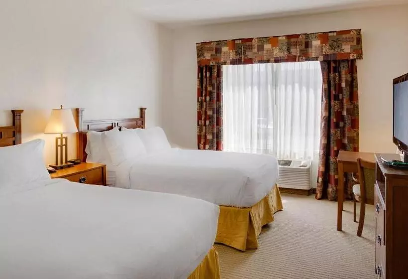 キングサイズベッドのスイートルーム, Holiday Inn Express Hotel & Suites Oklahoma City Bethany, An Ihg