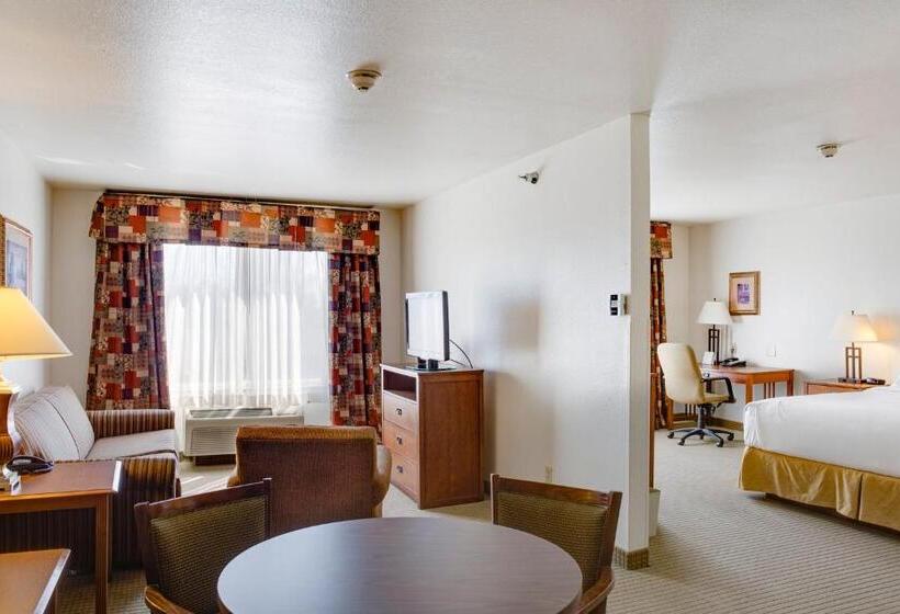 Люкс Кровать Кинг, Holiday Inn Express Hotel & Suites Oklahoma City Bethany, An Ihg