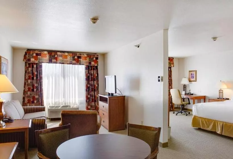 キングサイズベッドのスイートルーム, Holiday Inn Express Hotel & Suites Oklahoma City Bethany, An Ihg