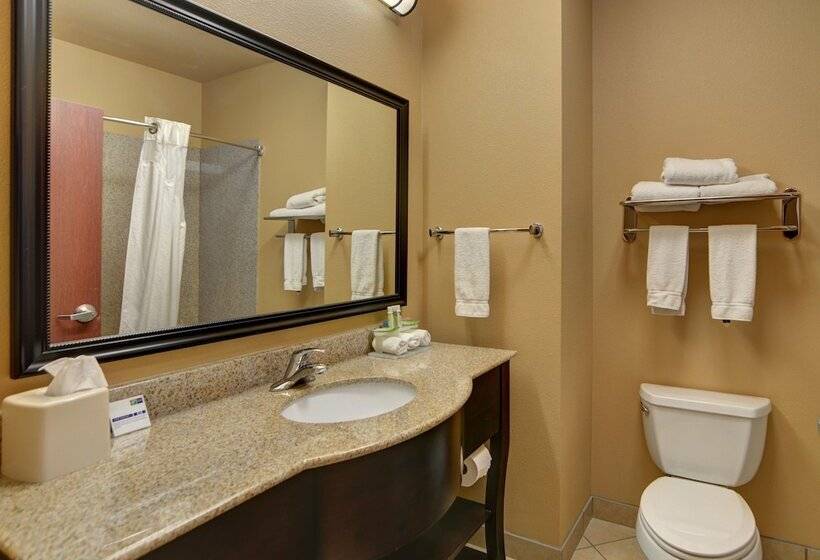 غرفة قياسية, Holiday Inn Express Hotel And Suites Altus, An Ihg