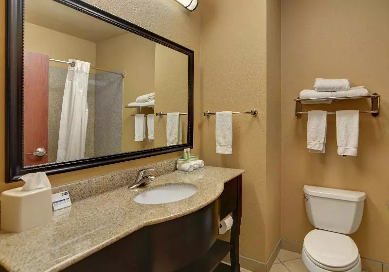 スイート, Holiday Inn Express Hotel And Suites Altus, An Ihg