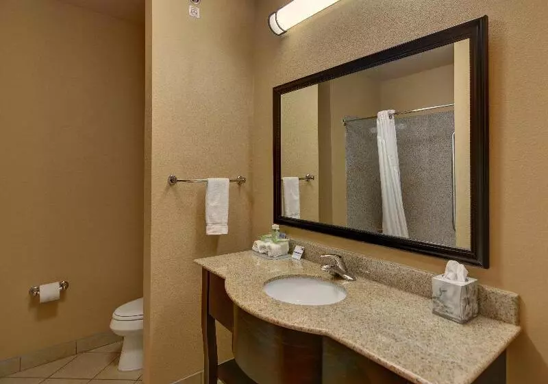 キングサイズベッドのスタンダードルーム, Holiday Inn Express Hotel And Suites Altus, An Ihg