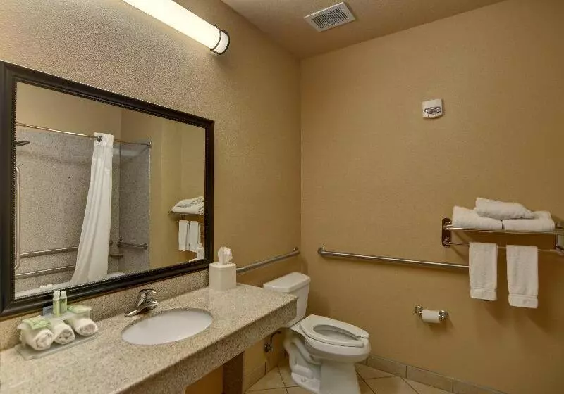 身障者適用キングサイズベッドルーム, Holiday Inn Express Hotel And Suites Altus, An Ihg