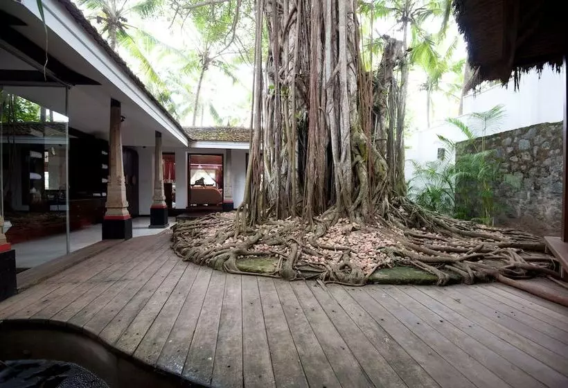 スタンダードバンガロー, Niraamaya Wellness Retreats, Surya Samudra, Kovalam