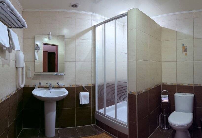 اتاق استاندارد, Sosnovyi Bor