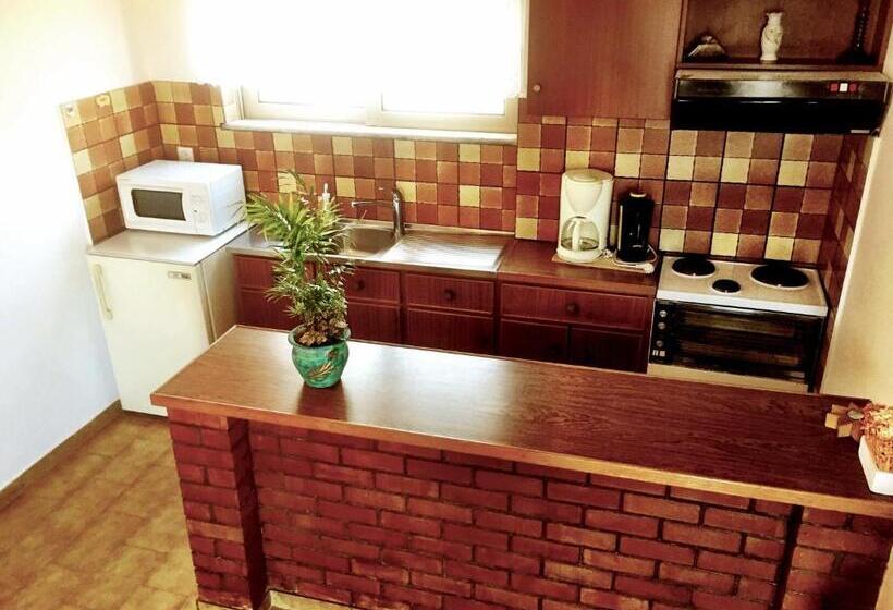 דירת חדר, Irene Villa