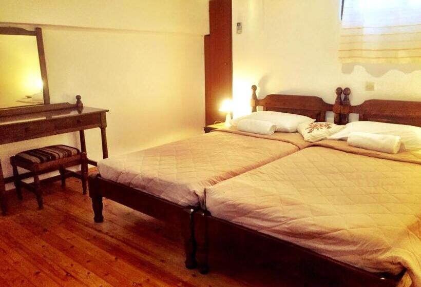 דירת חדר, Irene Villa