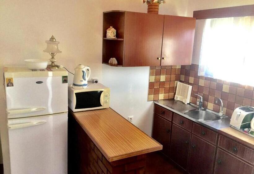 דירת חדר, Irene Villa