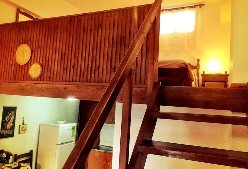 דירת חדר, Irene Villa