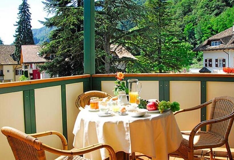 Апартаменты 1 Спальня, Apparthotel Gartenresidence Nalserhof