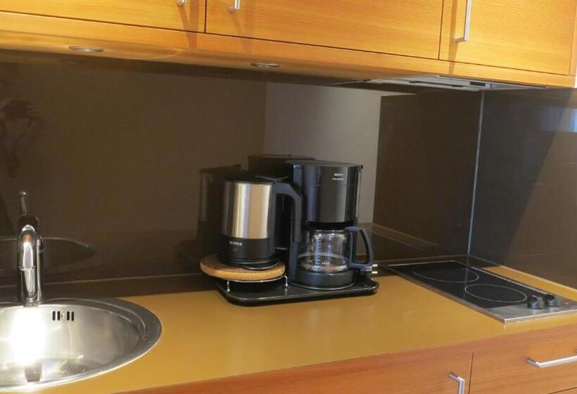 Апартаменты 1 Спальня с Балконом, Apparthotel Gartenresidence Nalserhof