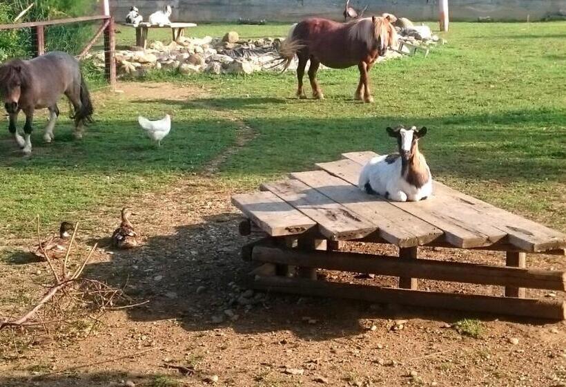 חדר דלוקס לשלושה, Ciliegissima