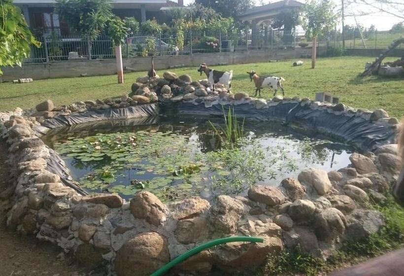 וילה בת 2 חדרי שינה, Ciliegissima