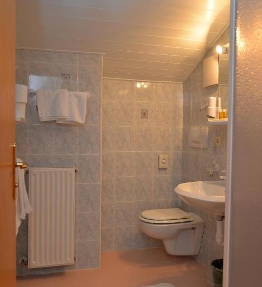 バルコニー付きスタンダードルーム, Garni Sonnegg