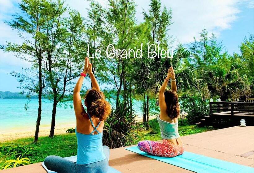 غرفة قياسية مزوَّدة بتراس, Le Grand Bleu