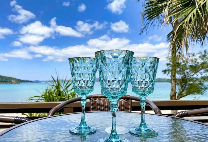 جناح مزود بتراس, Le Grand Bleu