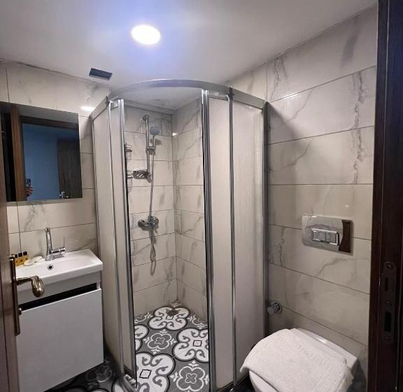 اتاق اکونومی یک تخته, Otağ