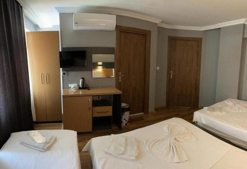 اتاق خانوادگی, Otağ