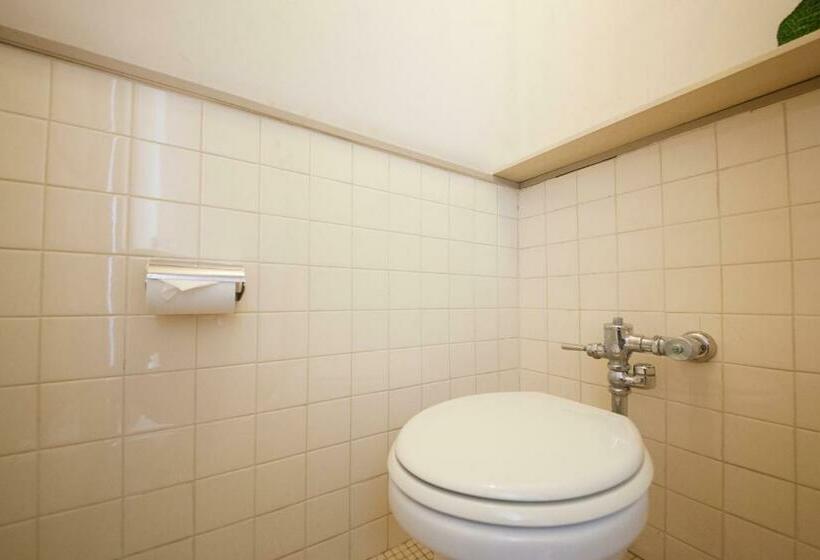 Номер Стандарт, 吸う温泉 湯治の宿 竜王ラドン温泉 湯ーとぴあ