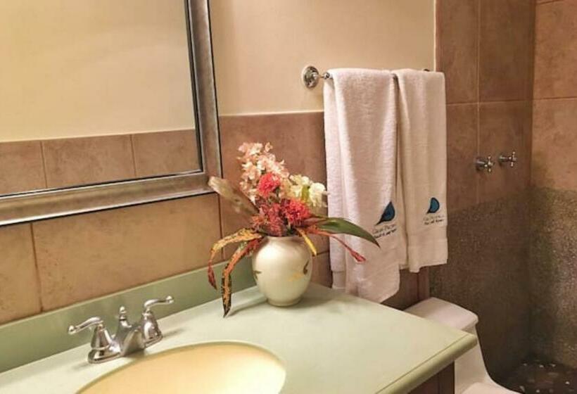 شقة غرفة واحدة, Suite Rivas 126 Gran Pacifica Resort