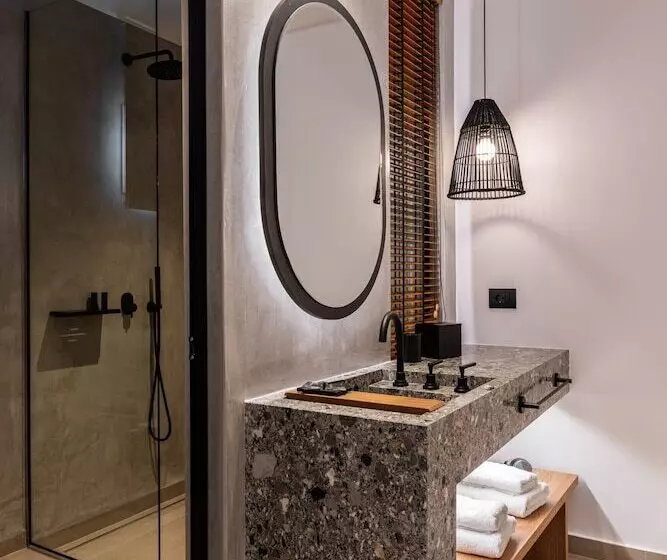 اتاق استاندارد اینتریور, Avra Mykonos
