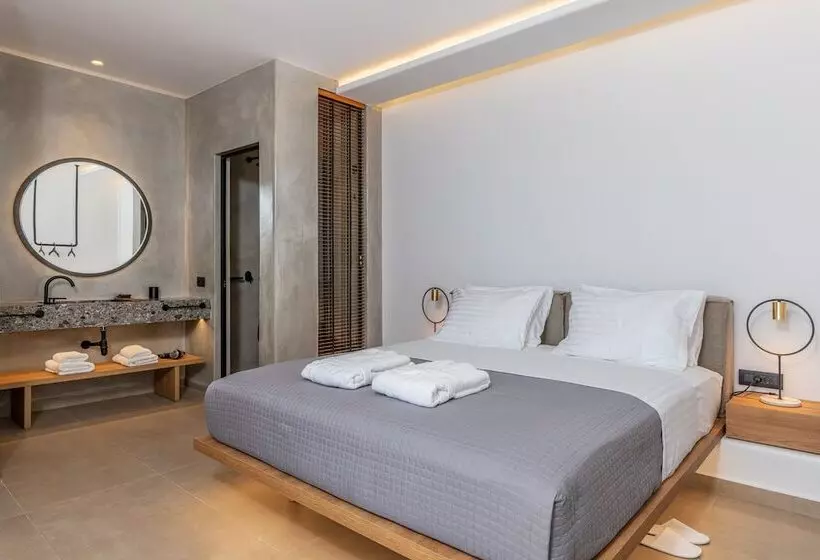 اتاق استاندارد اینتریور, Avra Mykonos