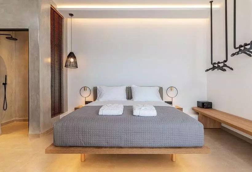 اتاق استاندارد اینتریور, Avra Mykonos