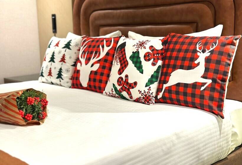 اتاق اکونومی, Edition Old City Hotel