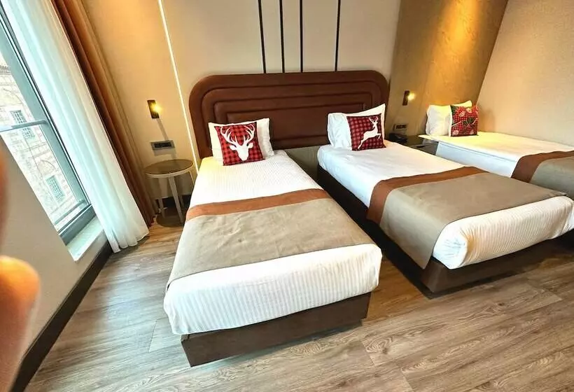 اتاق لوکس سه تخته, Edition Old City Hotel