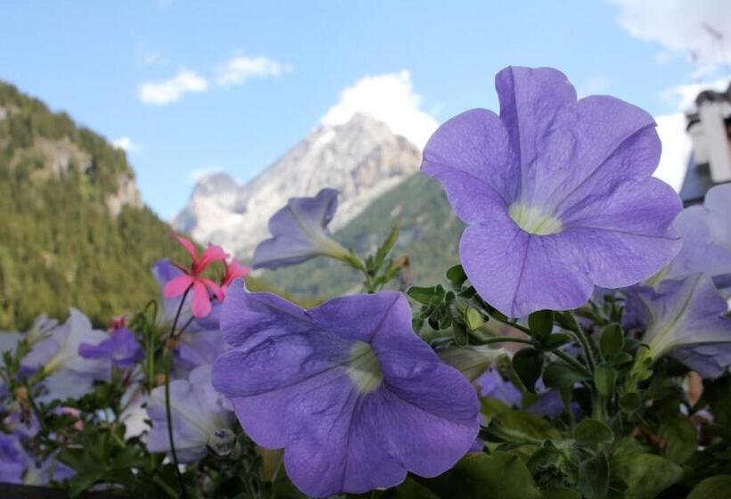 スタンダードルーム, Alba Wellness & Spa