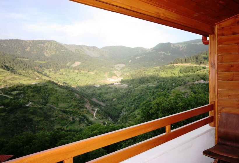 디럭스 자쿠지룸, Archontiko Metsovou Luxury Boutique