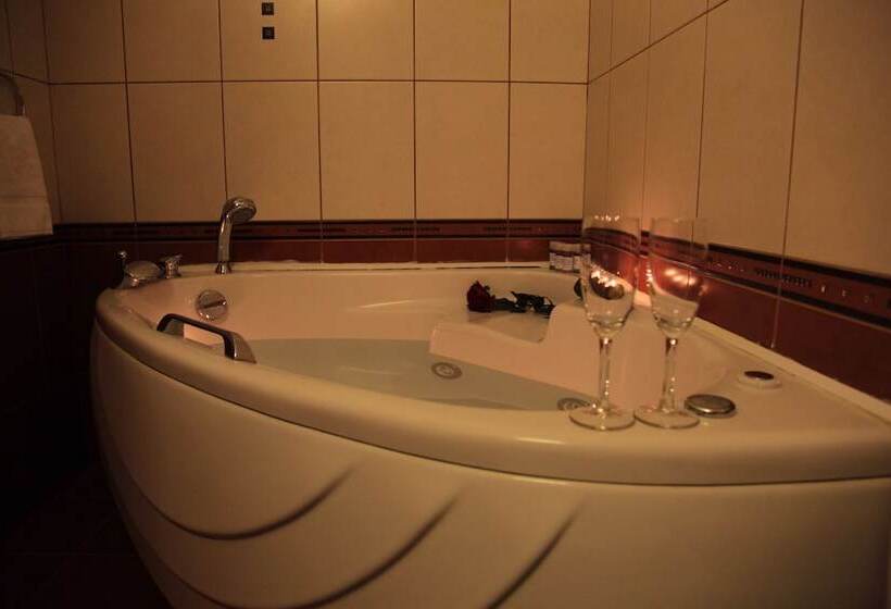 이그제큐티브 룸, Archontiko Metsovou Luxury Boutique