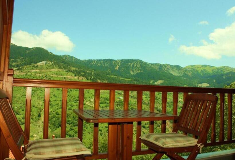 수피리어 자쿠지 룸, Archontiko Metsovou Luxury Boutique