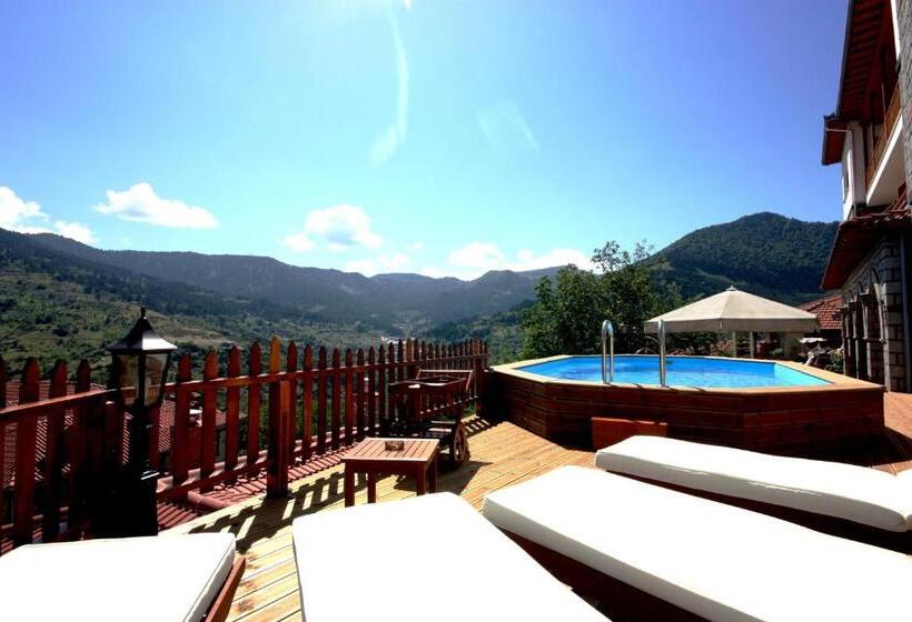 수피리어 자쿠지 룸, Archontiko Metsovou Luxury Boutique